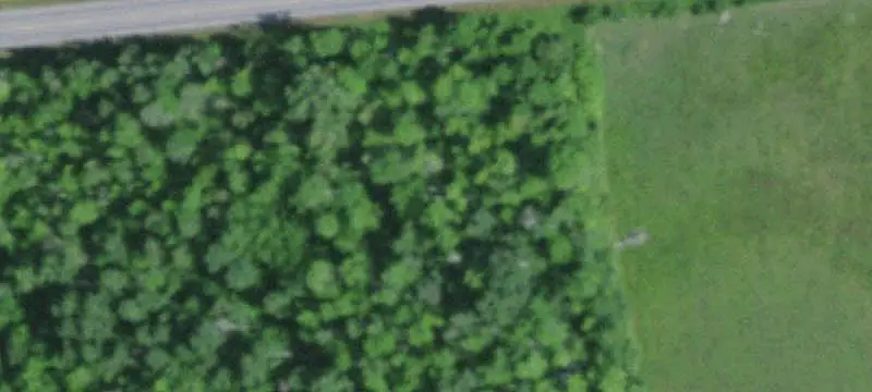 Land