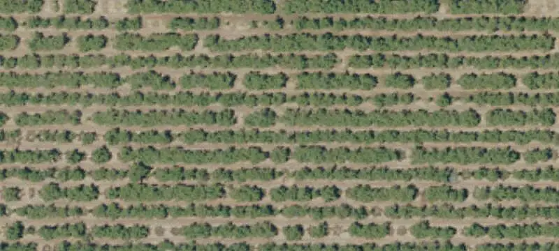 Almond Orchard Farm