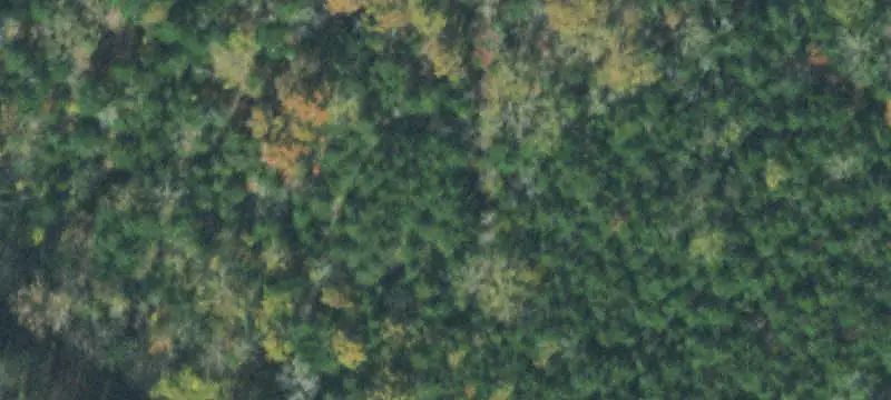 Residential Land