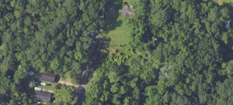 Wooded Commercial Land
