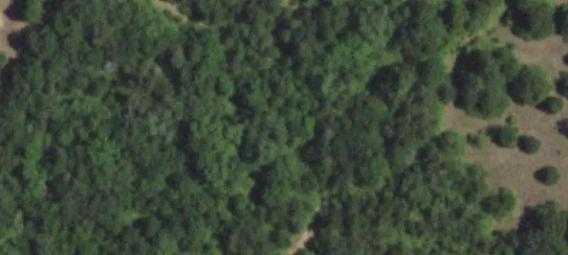 Unimproved Land