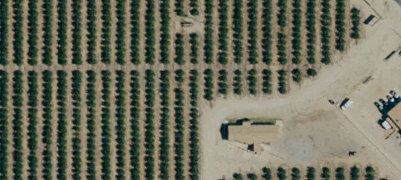 Citrus and Date Farm