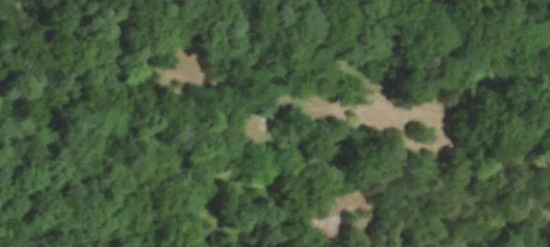 Pasture and Wooded Land