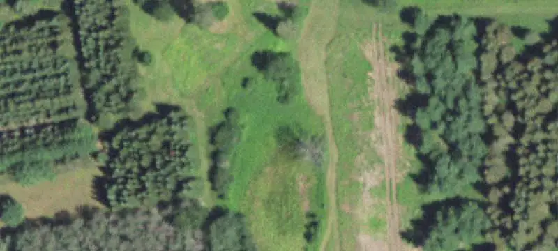 Land