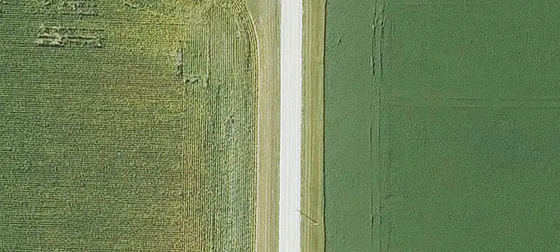 Agricultural Land with Timber