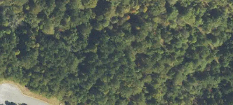 Land/Lot