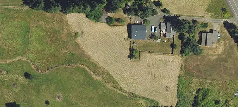 Fir-Planted Agricultural Land