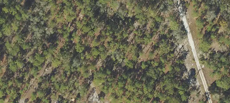 Land or Vacant Lot