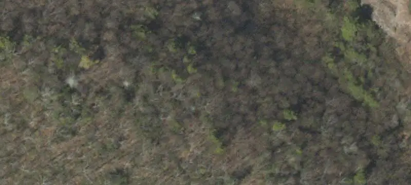 Recreational Hunting Land
