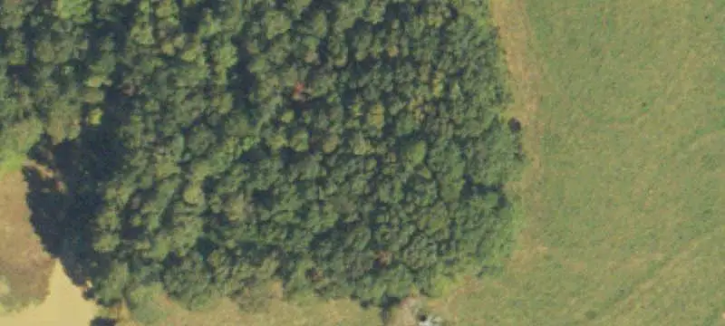 Fenced Farmland