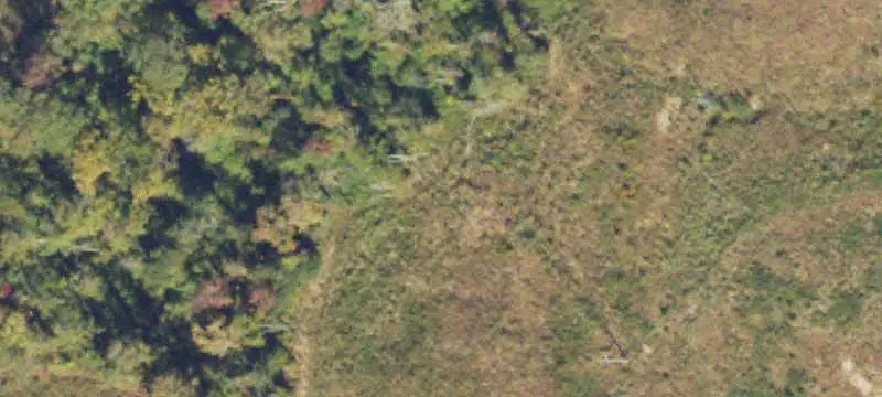 Timbered Recreation Land