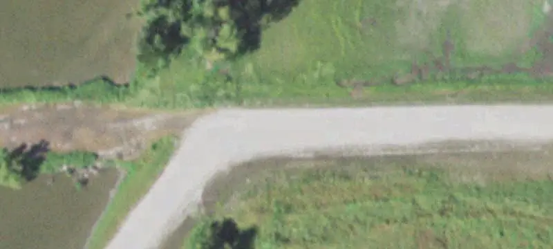 Gas Station and Convenience Store