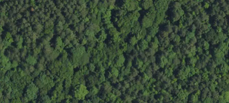 Wooded Recreational Land