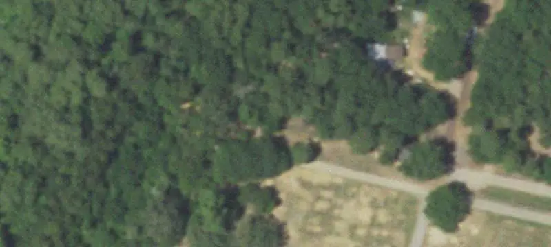 Wooded Commercial Land