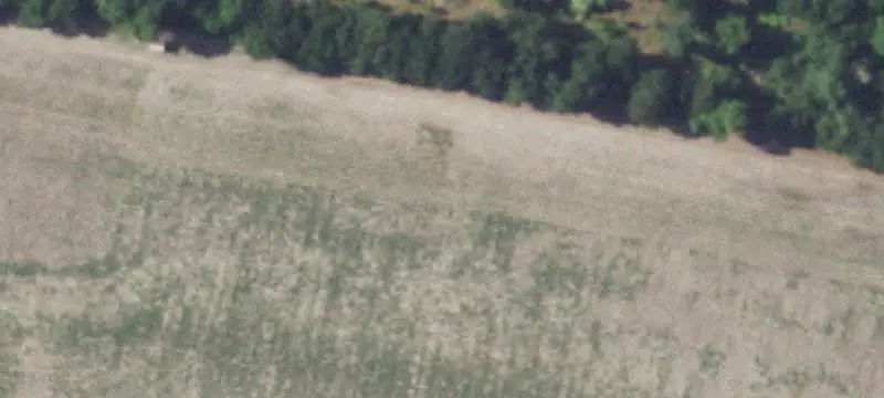 Farm Property with Cabin