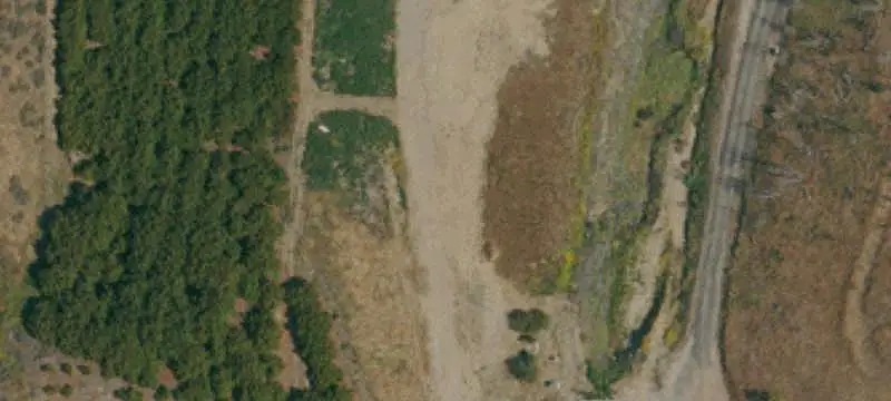 Farm with Avocado Grove
