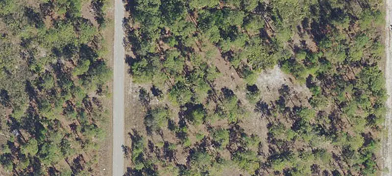 Land/Lot
