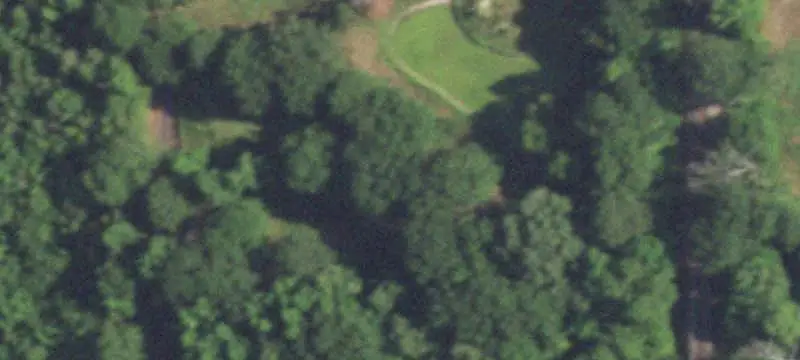 Wooded Hunting Land