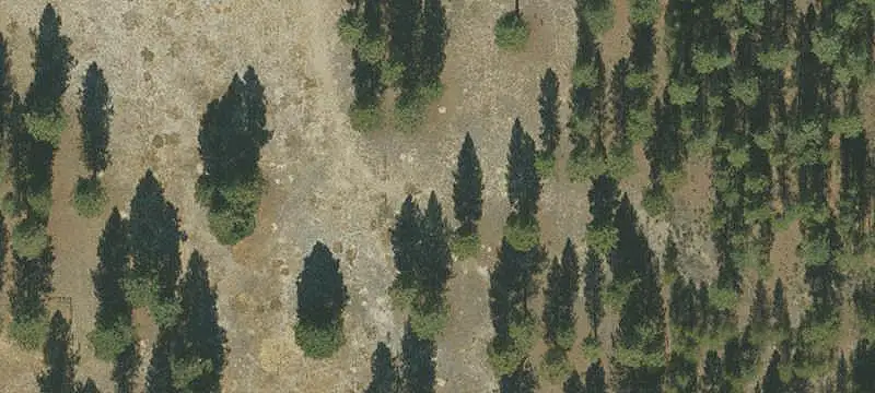 Land