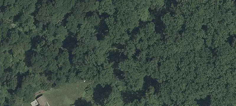 Agricultural Land with Two Homes