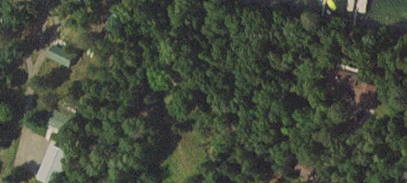 Lakefront Cabin Resort