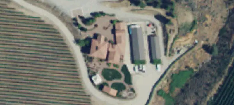 Established Vineyard Property