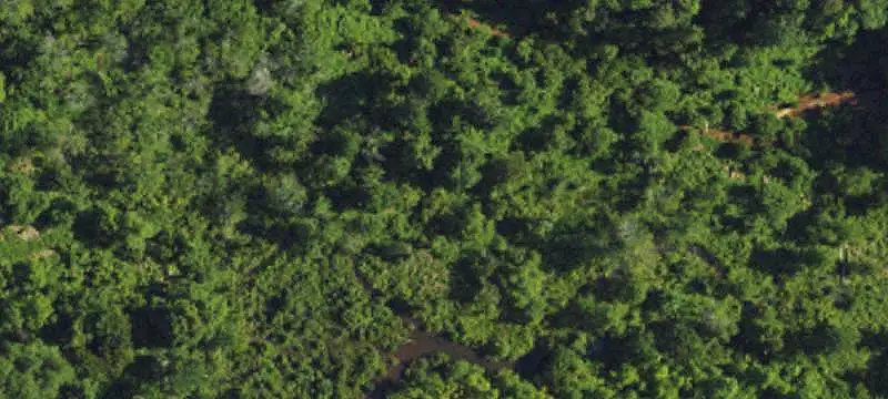 Hunting Land with Septic Sites