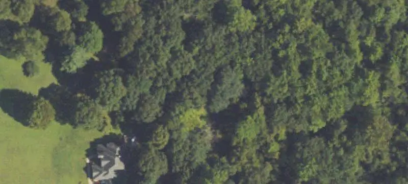 Five-Acre Land Parcel