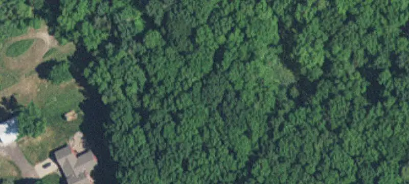 Agricultural Land with Wooded Acreage