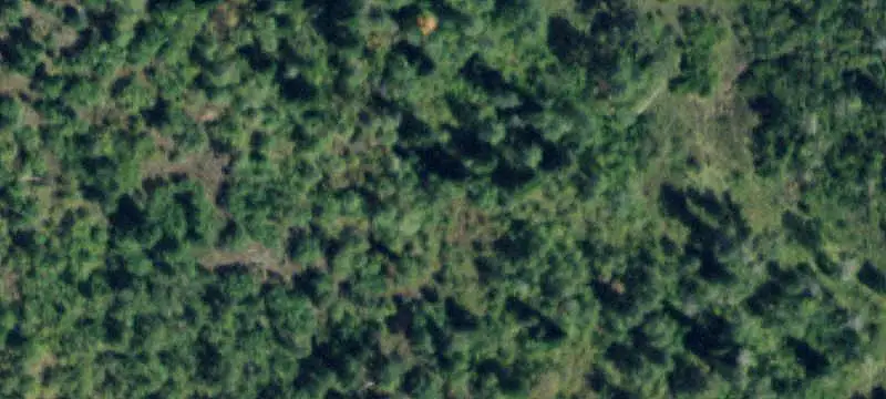 Land/Property