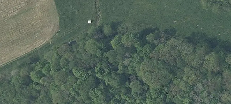 Wooded Recreational Land