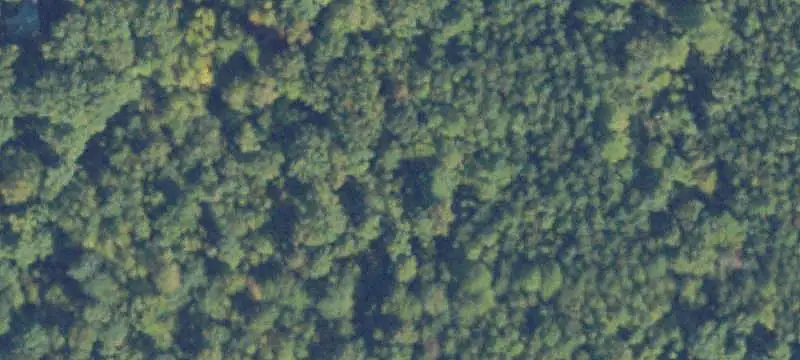 A-1 Hunting Land with Creek Frontage