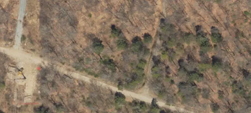 Land