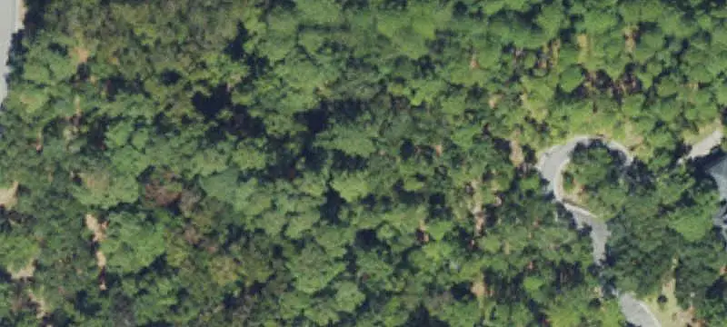 Land/Lot
