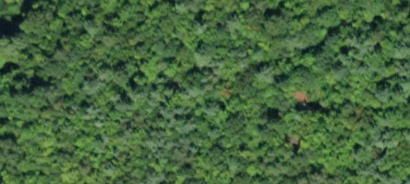 Vacant Land / Lots