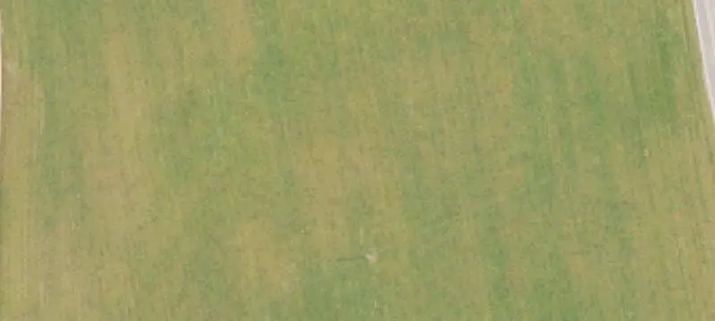 Hunting Land with Wooded Cover