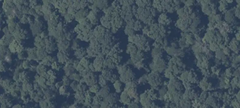 Commercial Land