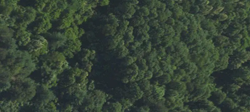 Hunting Land with Cabin
