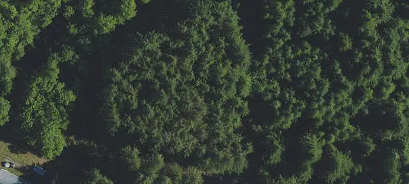 Douglas Fir Timberland with Private Pond
