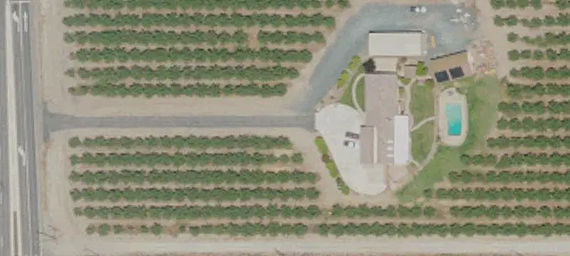 Almond Farmland