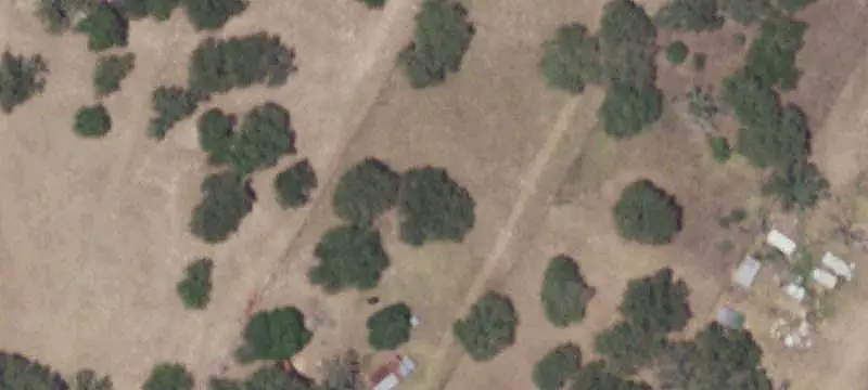 Wilson County Ranch