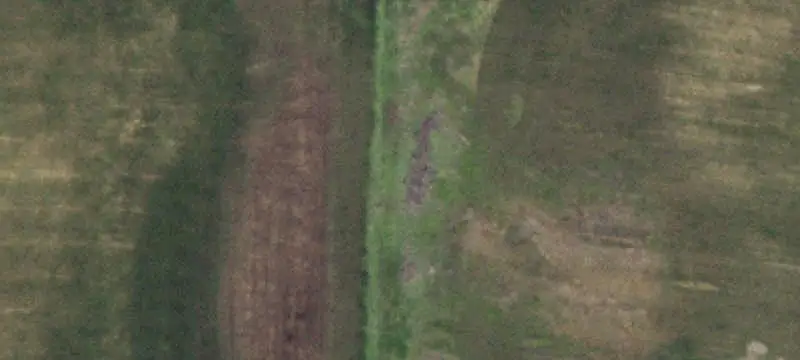 Farmland with Timber Cover