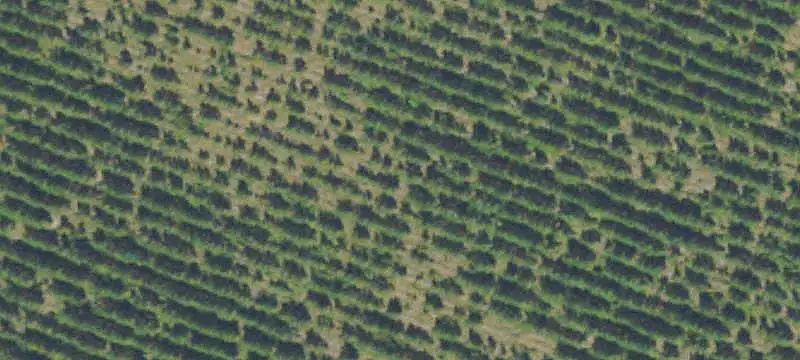 Land/Lot