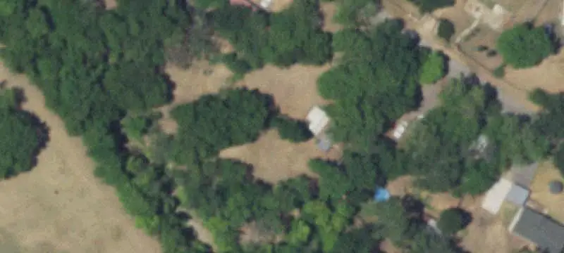 Land with Mature Trees
