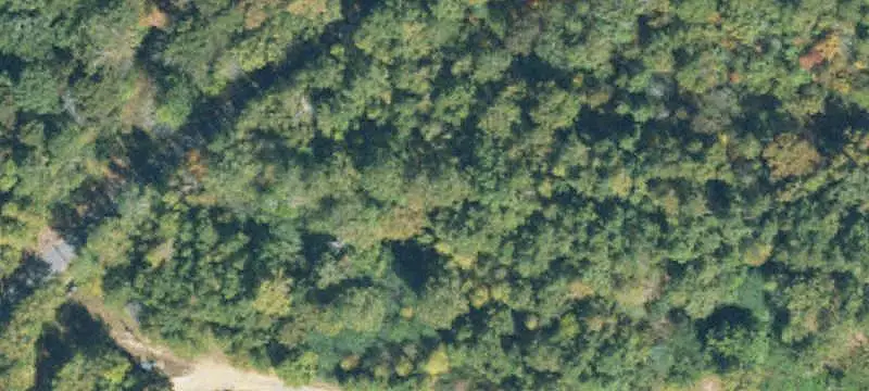 Wooded Commercial Land