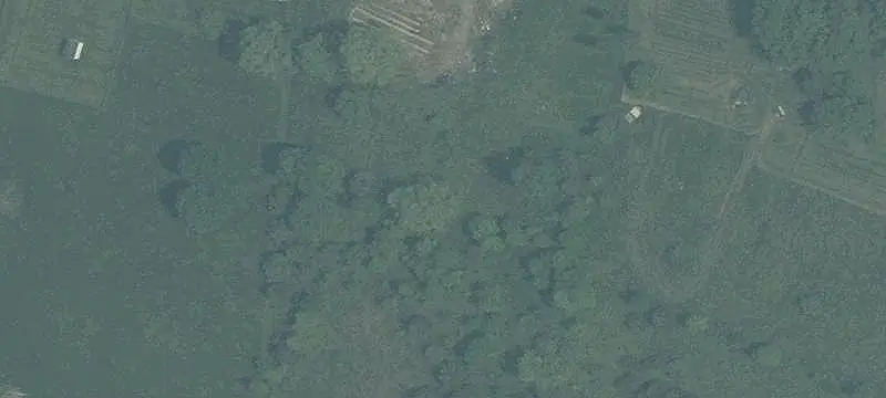 Land