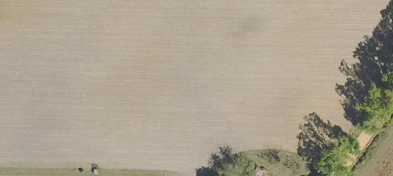 Land/Lot