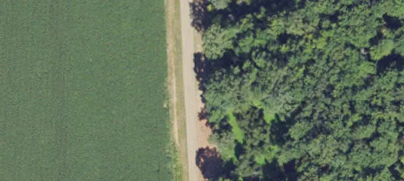Agricultural Land with Wooded Acreage