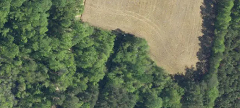 Open Agricultural Land