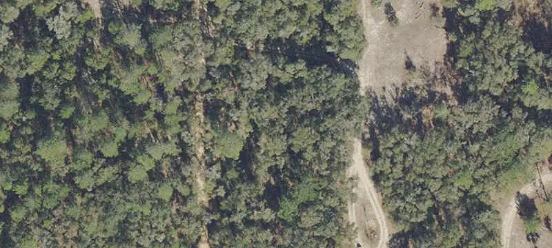 Unimproved Land